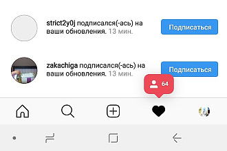Раскрутка подписчиков в Instagram. 2500+ подписок в день
