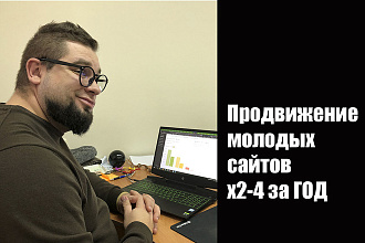 Продвижение по запросам