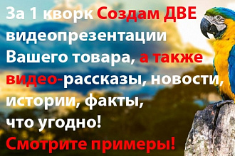 Сделаю 2 видеопрезентации товара, или 2 видео рассказа, истории, факта