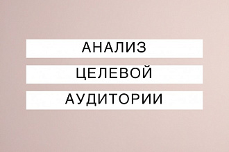 Анализ Целевой аудитории