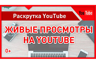 Просмотры из рекламы YouTube