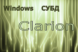 GUI программа, конвертер, бизнес приложение. СУБД . Windows. Clarion