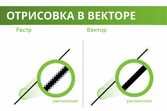 Профессионально нарисую в вектор любое изображение