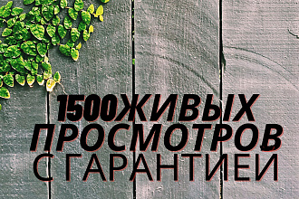 1500 живых просмотров с гарантией YouTube. Лайки в подарок