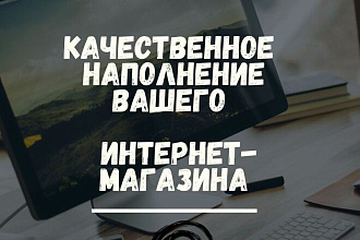 Ручное наполнение интернет-магазина карточками товаров