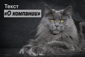 Напишу текст О компании, который привлечёт вам клиентов