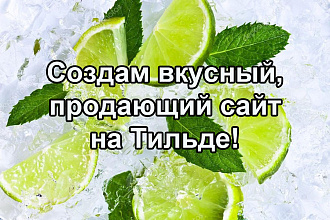 Создам продающий сайт на Тильда