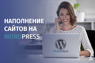 Наполнение сайтов на админке WordPress