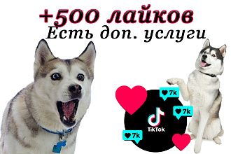 +500 лайков на видео в ТикТок