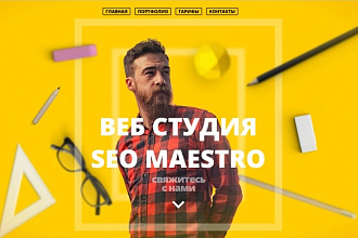 Профессионально настрою Ваш Wordpress