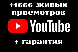 1666 живых просмотров на ваш YouTube канал