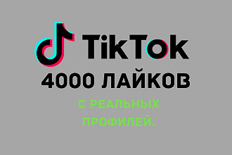 4000 Лайков в ТикТок. Продвижение вашего профиля