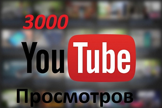 3000 просмотров на youtube. Быстро и качественно. 100%