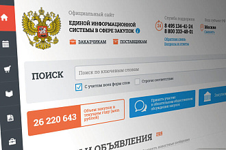 Настройка государственных информационных систем и торговых площадок