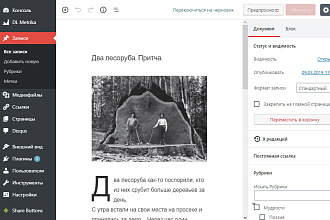 Корректирую тексты через админки или напрямую в HTML