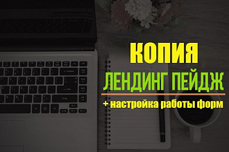Скопирую и настрою любой лендинг