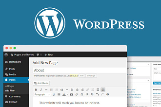 Любые доработки здесь и сейчас Wordpress