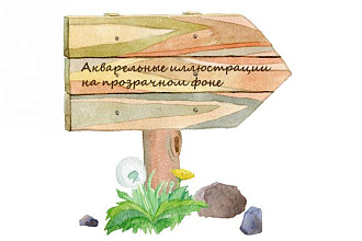 Акварельные иллюстрации на прозрачном фоне