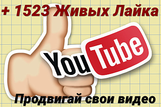 +1523 лайков Youtube