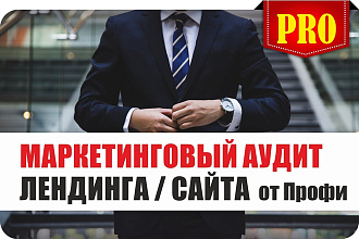 Маркетинговый Аудит Сайта - Лендинга от Профи - проверка оценка анализ