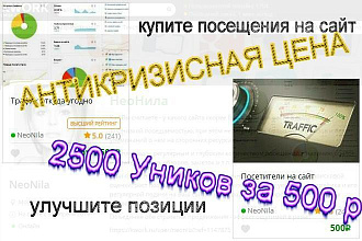 Тут можно купить посещения на сайт Дешево. 2500 Уников
