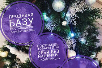 База прямых поставщиков