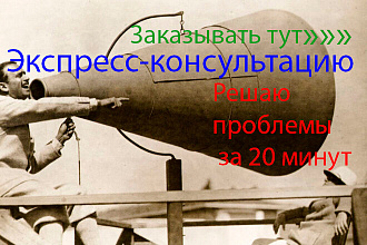 SEO консультация за 20 минут