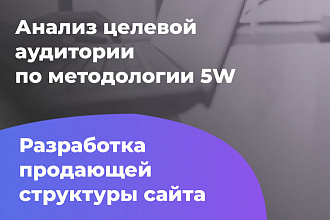 Анализ целевой аудитории по методологии 5W