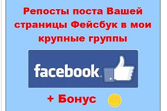 Репосты поста Вашей страницы Фейсбук в мои крупные группы Facebook