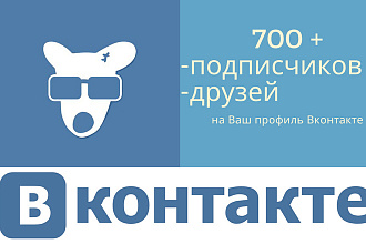 700 + Живых подписчиков. Бонусы