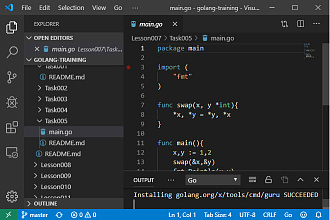 Напишу программу на C#, Golang, Delphi