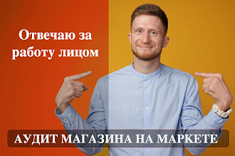 Аудит размещения магазина на Яндекс. Маркет. Анализ прайс-листа