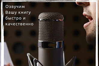 Профессиональная озвучка книг