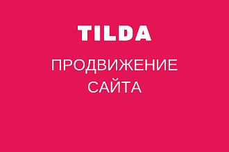 Продвижение сайта на Тильде вывод запросов в топ по Москве и России