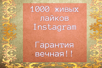 Добавлю 1000 лайков в Instagram