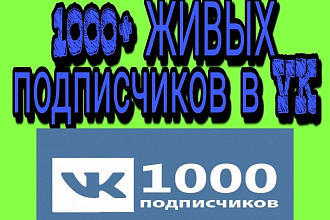1000+ ЖИВЫХ подписчиков в VK
