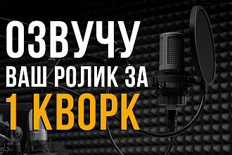 Озвучу ролик для Ютуб или любой другой текст