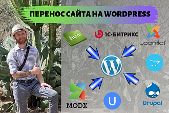 Перенос 100 статей на WordPress