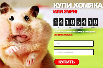 Скопирую и настрою любой лендинг