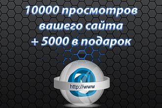 10000 просмотров вашего сайта +5000 в подарок