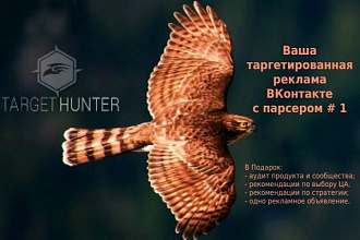 Настройка таргетированной рекламы ВКонтакте с помощью Target Hunter