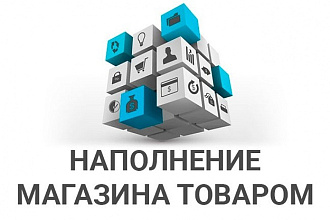 Наполню интернет-магазин товарами. 100 товаров