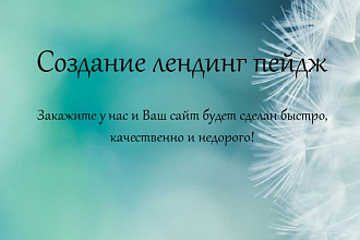 Сделаю лендинг в WordPress или Adobe Muse за 1-2 дня