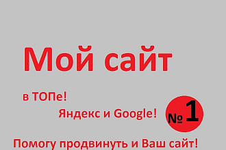 Составлю план для поднятия Вашего сайта в ТОП. Опыт 7 лет, профи СЕО