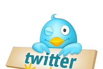 1700 подписчиков в ваш аккаунт в twitter