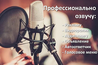 Озвучивание текстов женским или мужским голосом