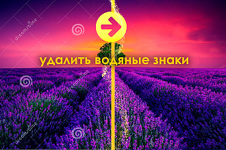 Уберу водяные знаки и лишние объекты, либо заменю надпись
