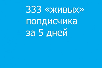 333 подписчика за 5 дней