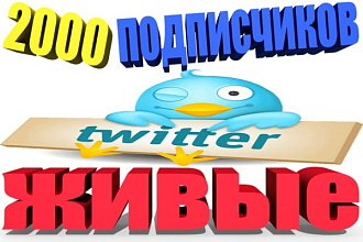 2000 живых подписчиков в твиттер. Читатели followers в Twitter