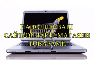 Наполню сайт, онлайн-магазин товарами